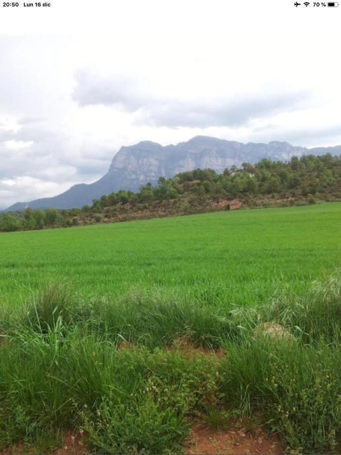 Vistas A La Montana En Un Pueblo Con Encanto. El Pueyo de Araguás Exterior foto