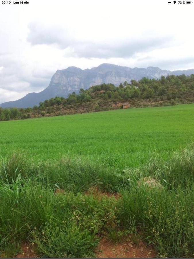 Vistas A La Montana En Un Pueblo Con Encanto. El Pueyo de Araguás Exterior foto